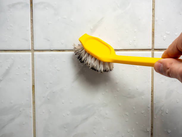 Best Mold Removal Company Near Me  in Mills River, NC
