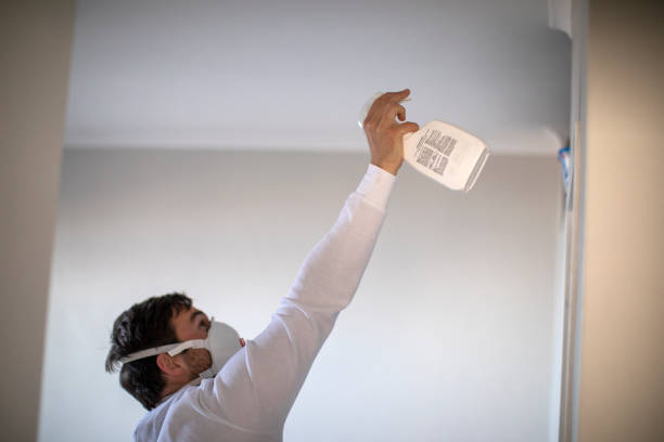 Best Same-Day Mold Removal  in Mills River, NC