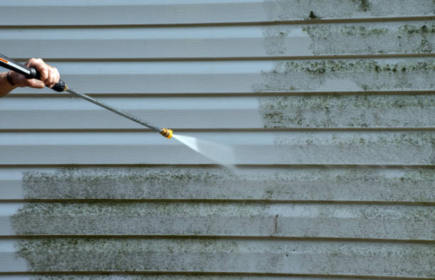 Best Certified Mold Removal  in Mills River, NC