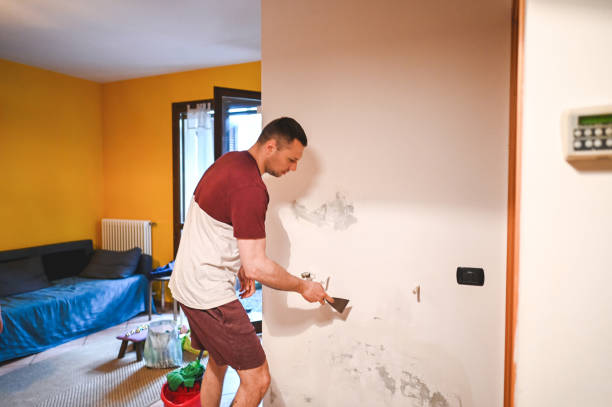 Trusted Mills River, NC Mold Removal Experts